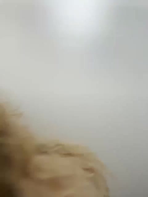 JJane- Приват Записи 2026-02-17