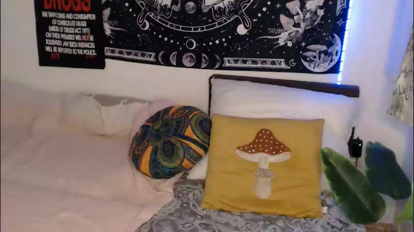 aliens4twenty Приват Записи 2026-02-17