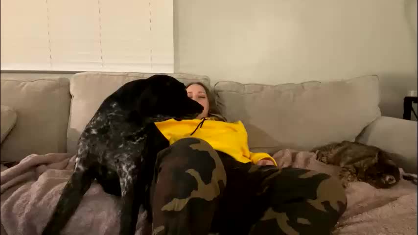 goddessmayvn Приват Записи 2026-02-18