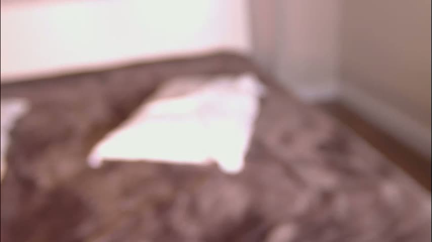 bounceonyou Приват Записи 2026-02-17