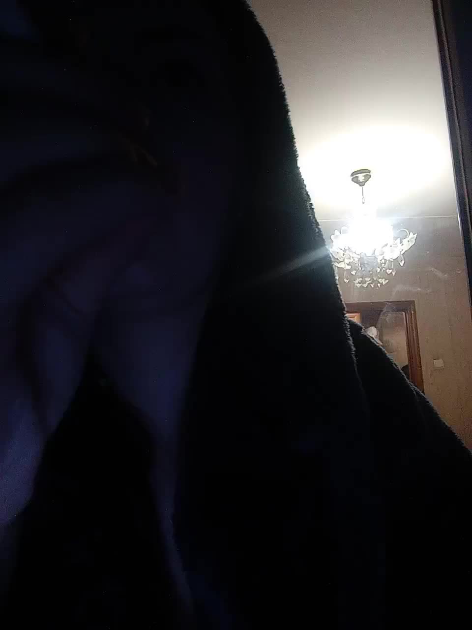 TotoJojo777 Приват Записи 2026-02-19