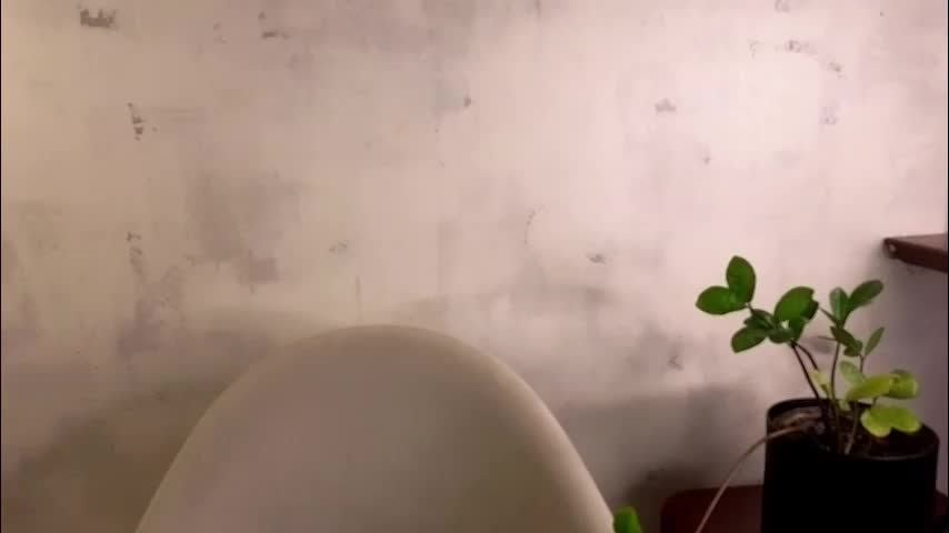 jolyndeb Приват Записи 2026-02-19