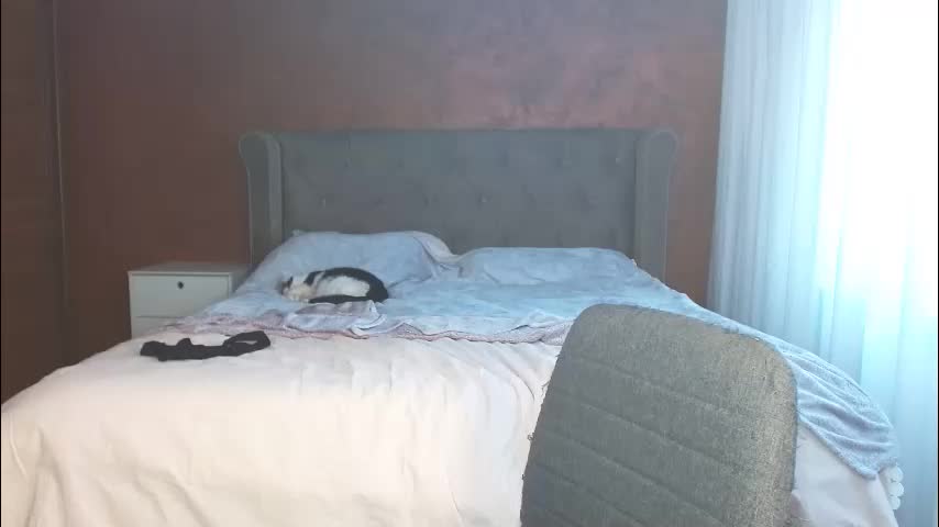 mishakiss34 Приват Записи 2026-02-19