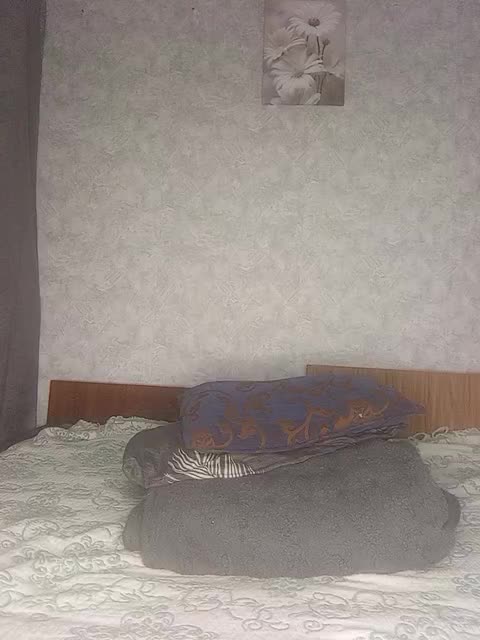 -Vlada- Приват Записи 2026-02-19