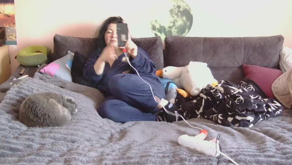 Ornotores_wers Приват Записи 2026-02-20