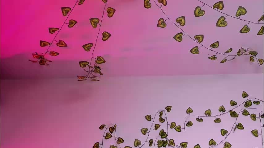 ladytrep Приват Записи 2026-02-20