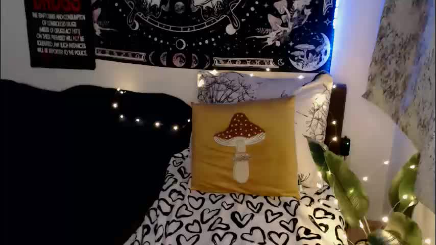 aliens4twenty Приват Записи 2026-02-20