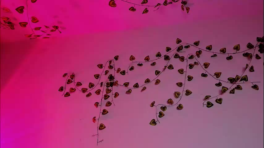 ladytrep Приват Записи 2026-02-21