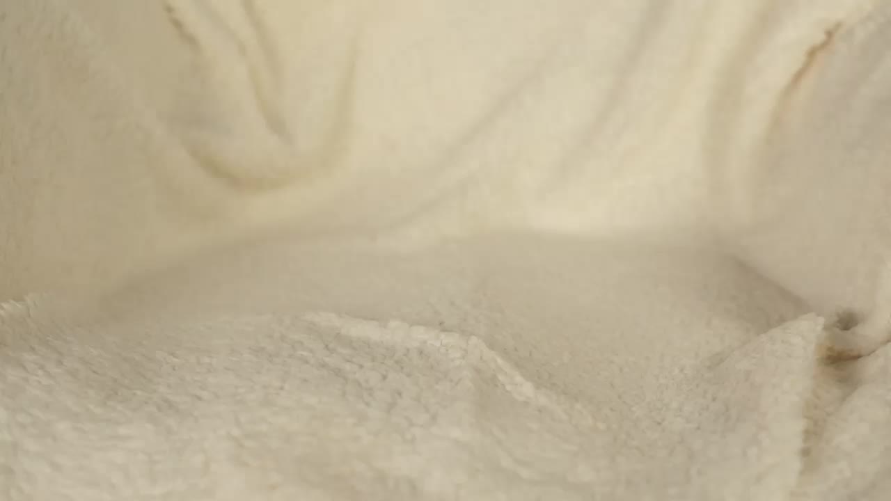 OrsonHodge Приват Записи 2026-02-22