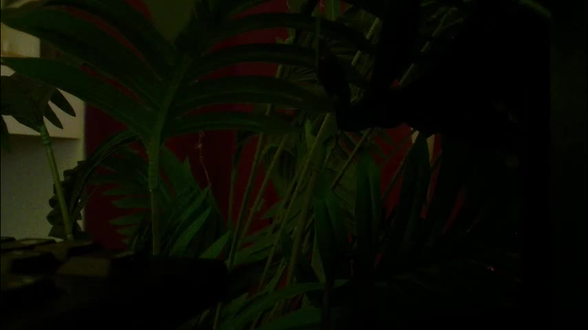 imcarrieberry Приват Записи 2026-02-22