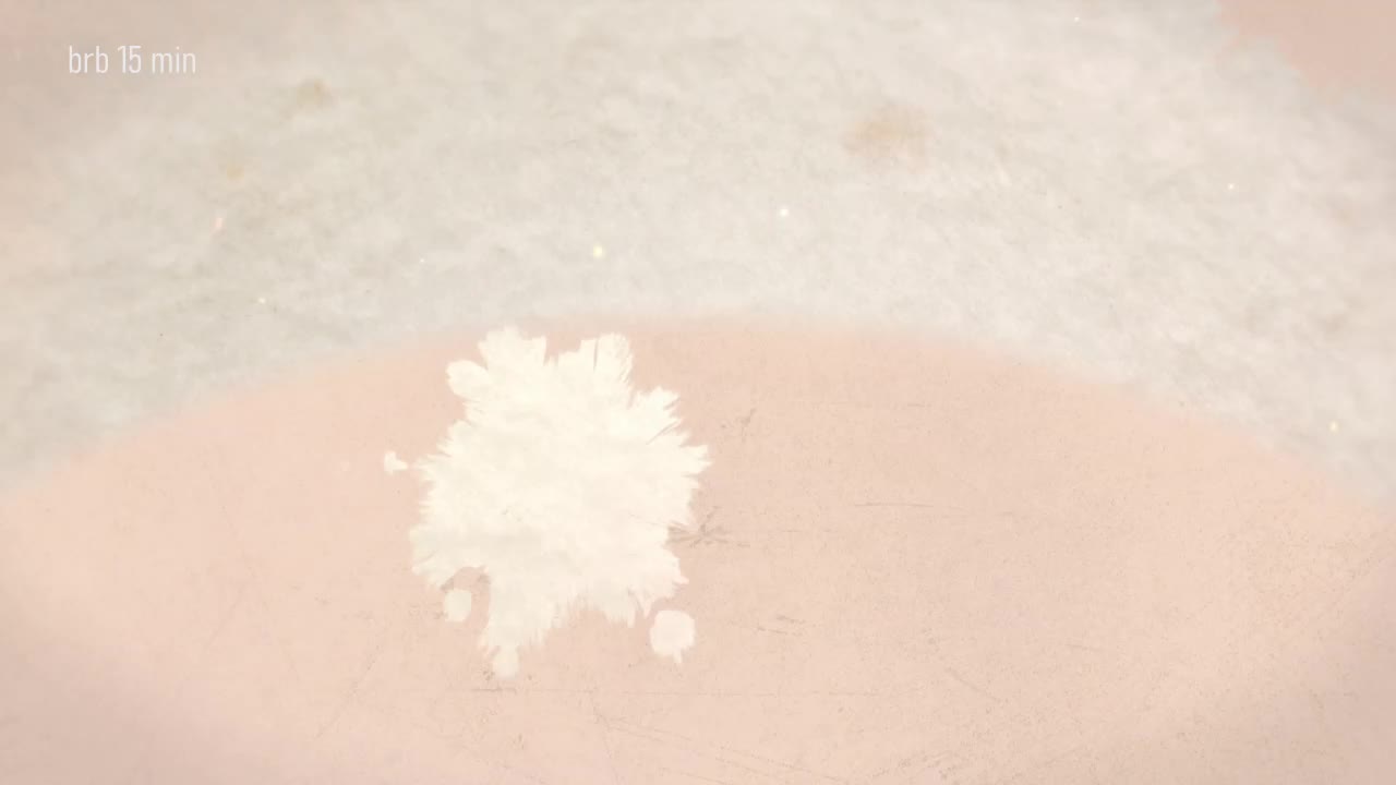 Taanni Приват Записи 2026-02-22