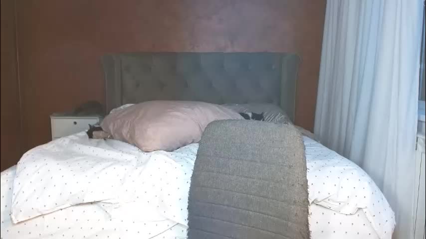 mishakiss34 Приват Записи 2026-02-22