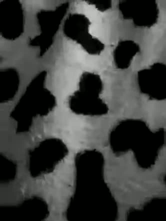 Friends-51 Приват Записи 2026-02-22