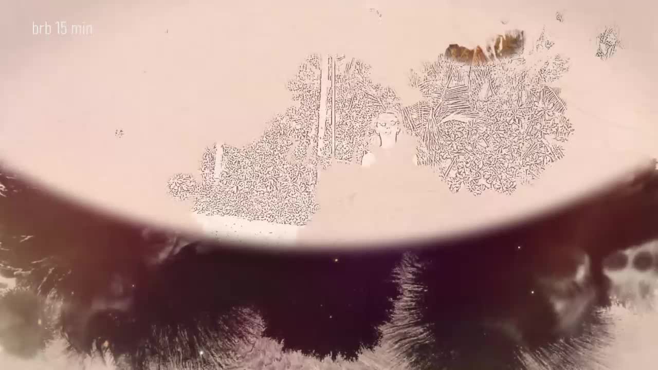 Taanni Приват Записи 2026-02-23