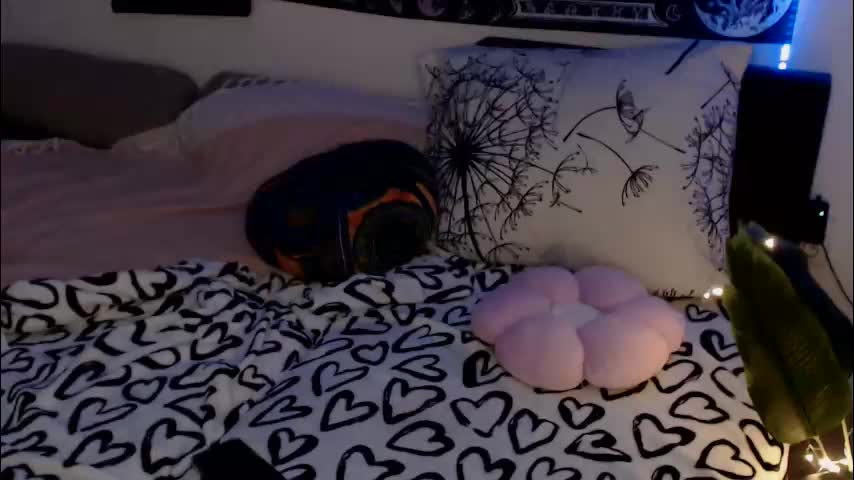 aliens4twenty Приват Записи 2026-02-23