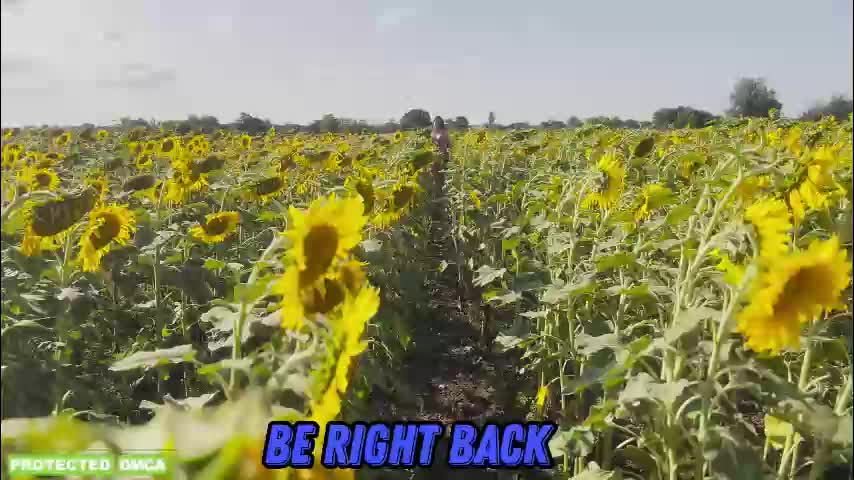 sunflower0907 Приват Записи 2026-02-23