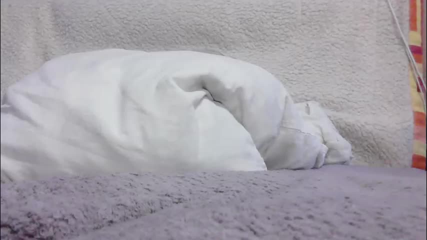 lenorrr Приват Записи 2026-02-24