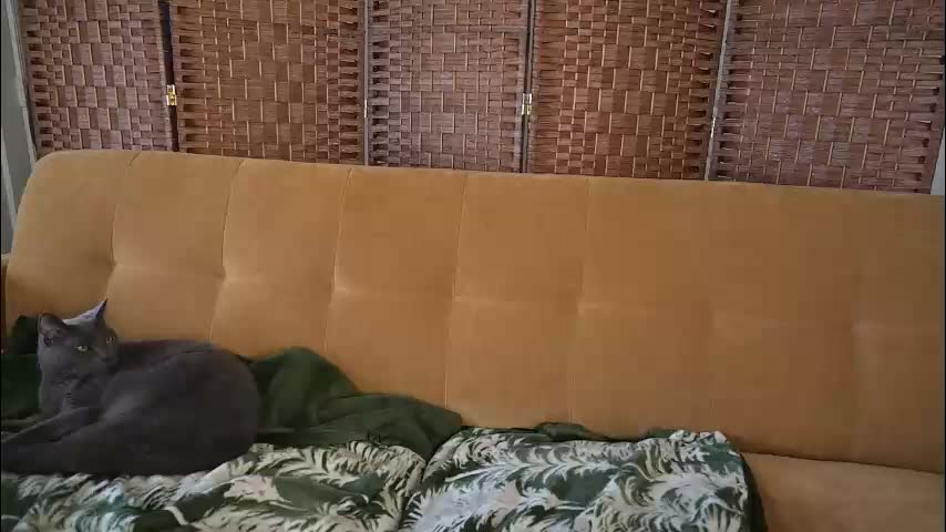 lilithoftrees Приват Записи 2026-02-24