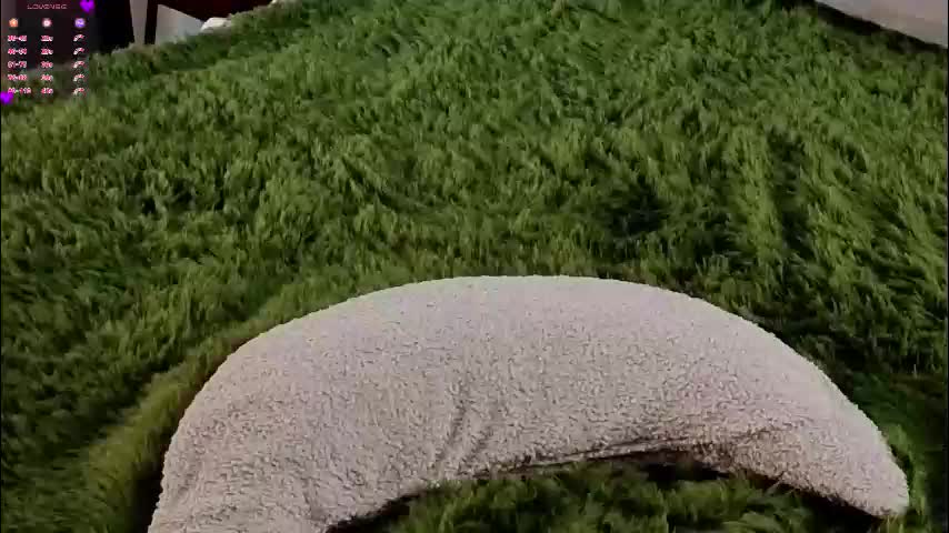 taithelme Приват Записи 2026-02-24