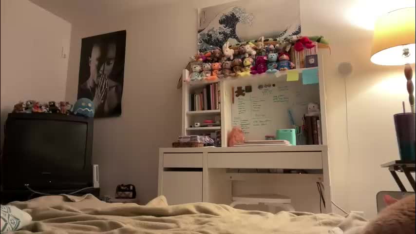 vanessapark Приват Записи 2026-02-24