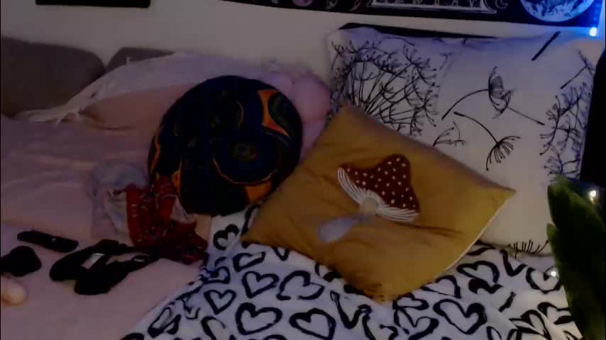 aliens4twenty Приват Записи 2026-02-24