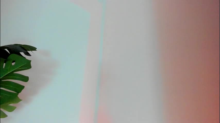 ashllovee_ Приват Записи 2026-02-24