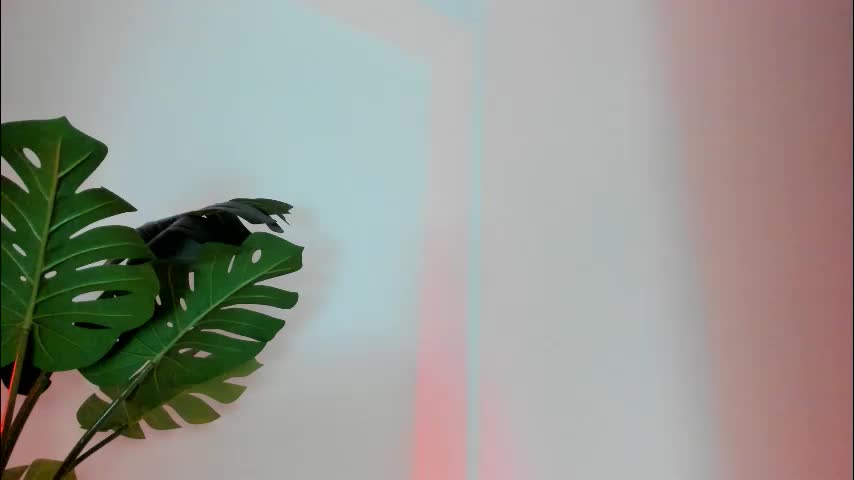 ashllovee_ Приват Записи 2026-02-24