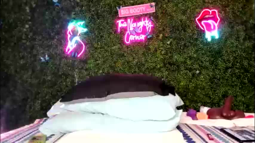 bigbuttsarena Приват Записи 2026-02-24