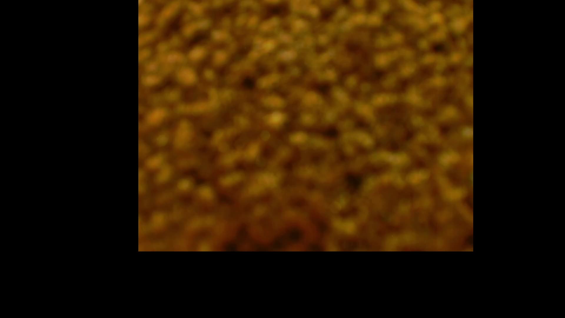 SweetCoople Приват Записи 2026-02-25