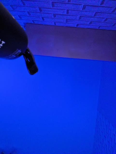 GORIGLAZ Приват Записи 2026-02-25