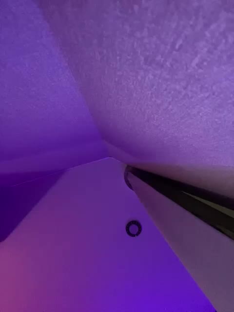 HotGirlEva Приват Записи 2026-02-26