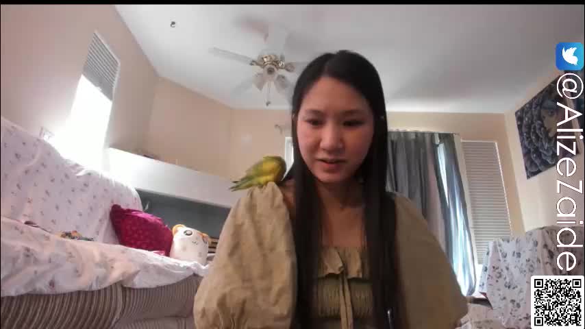 alizezaide Приват Записи 2026-02-26