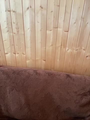 Sweetie_Kitty Приват Записи 2026-02-26