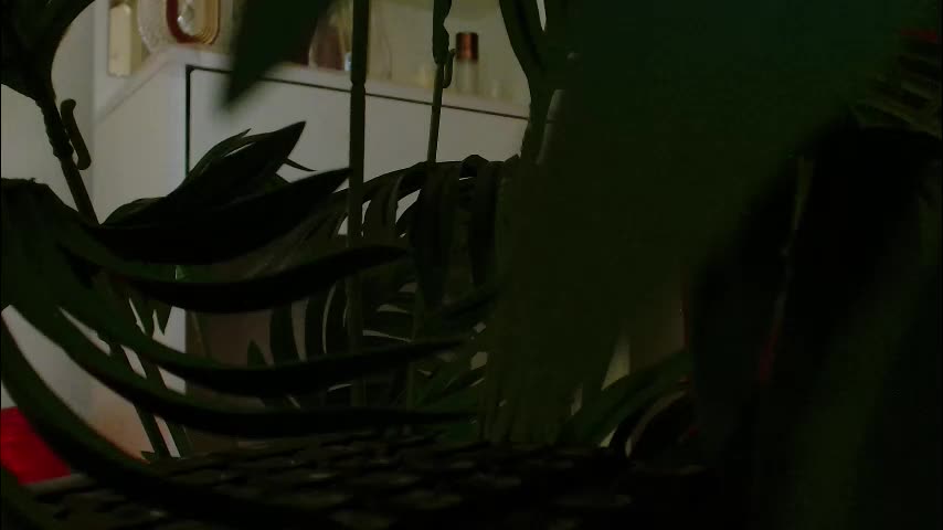 imcarrieberry Приват Записи 2026-02-26