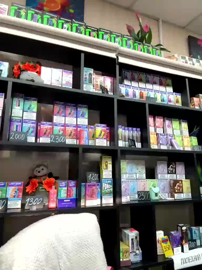 sofiedvige Приват Записи 2026-02-26