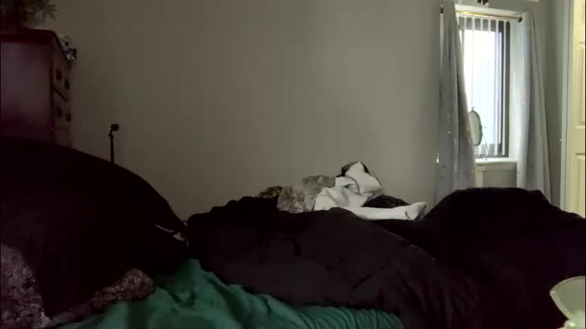 intothewoodswego Приват Записи 2026-02-27