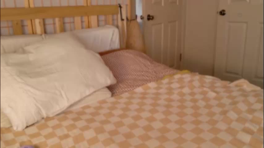 sofftrose Приват Записи 2026-02-27