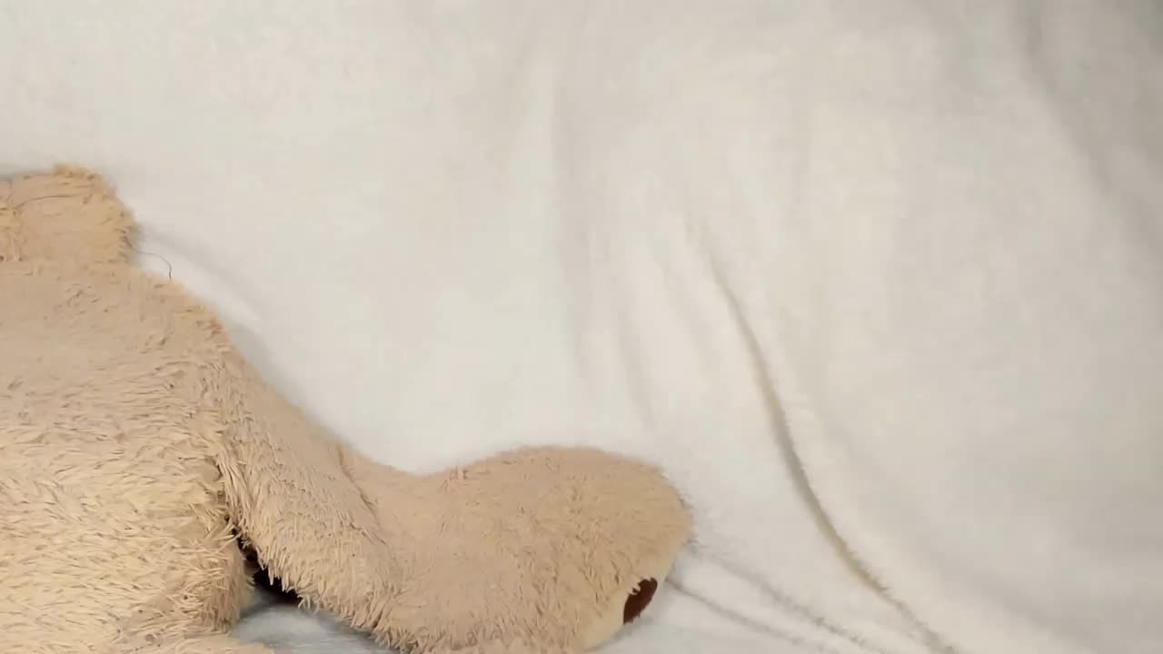 MelMooon Приват Записи 2026-02-27