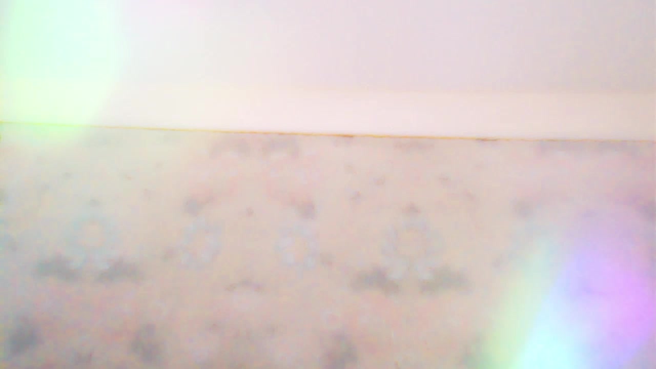 XTaylaX Приват Записи 2026-02-28