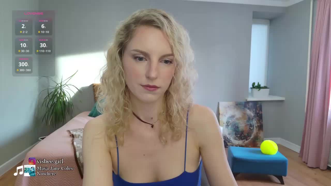 Visbee Приват Записи 2026-02-28