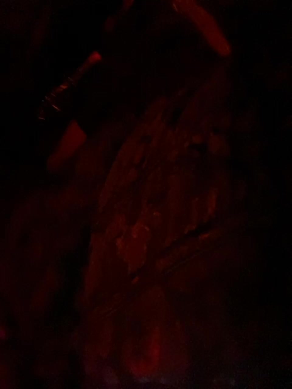 Lisa1225 Приват Записи 2026-03-01