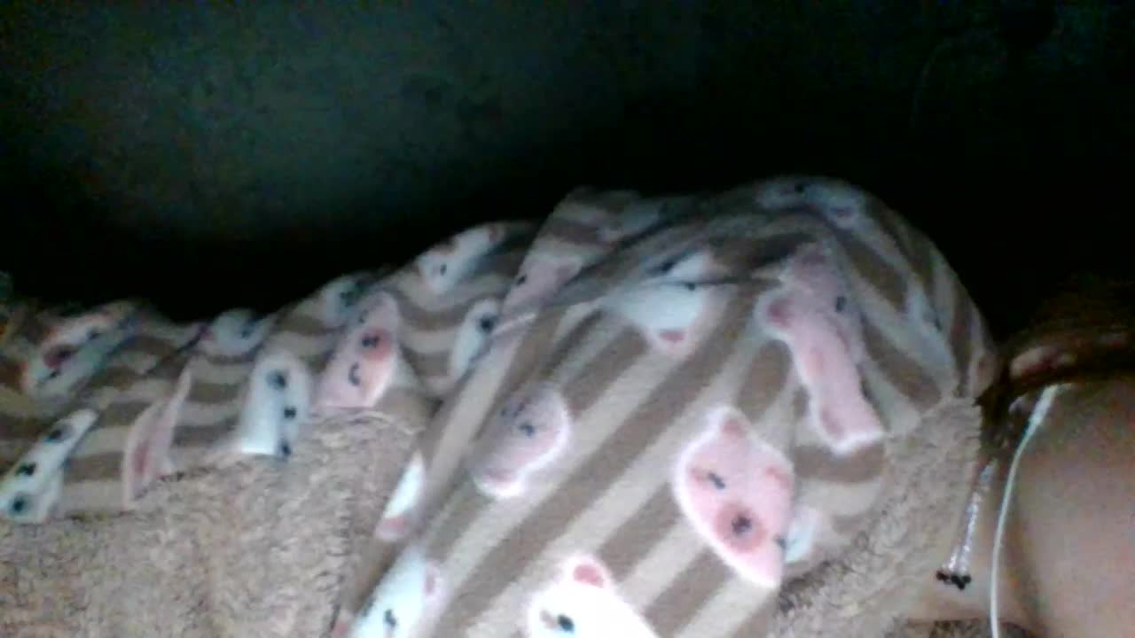 69Belka69 Приват Записи 2026-03-01