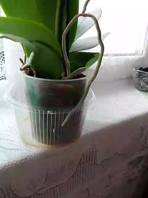 Neznakomka44 Приват Записи 2026-03-01