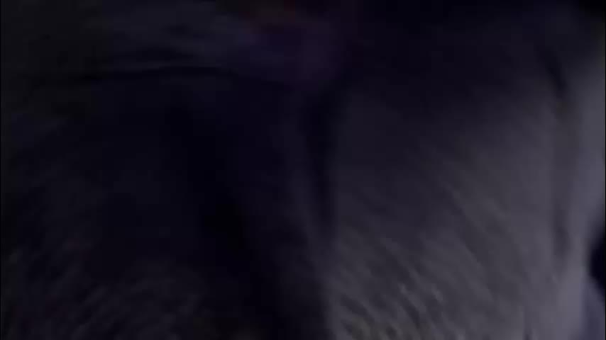 dragonhotcouple Приват Записи 2026-03-03