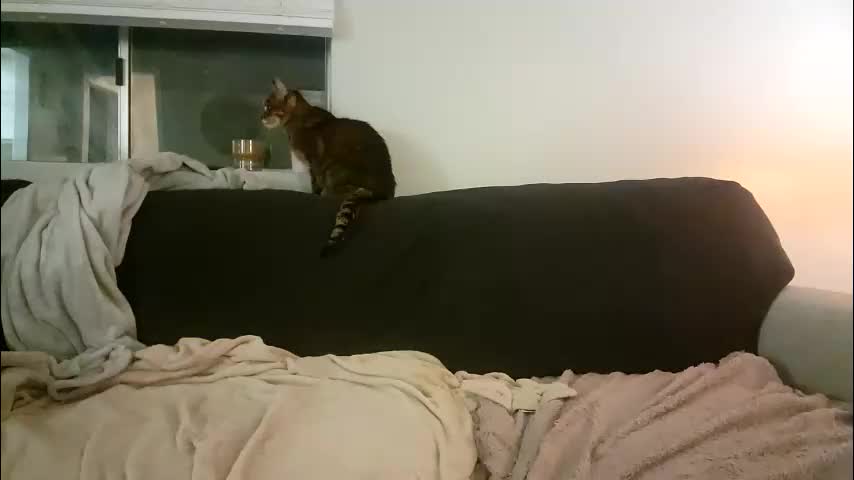 goddessmayvn Приват Записи 2026-03-03