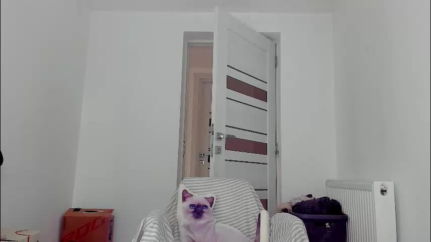 you_love_melisa Приват Записи 2026-03-03