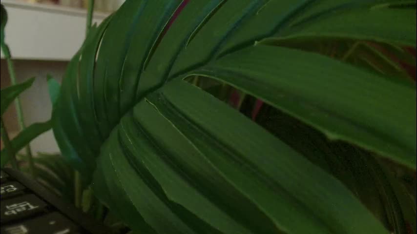 imcarrieberry Приват Записи 2026-03-04