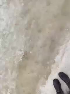 RelishSavor Приват Записи 2026-03-04