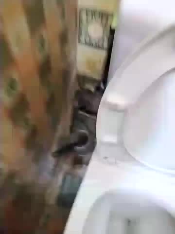 Holly-69 Приват Записи 2026-03-04