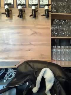 Yummypopka Приват Записи 2026-03-05